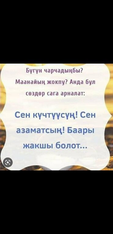 Долгосрочно: 12 м², С мебелью
