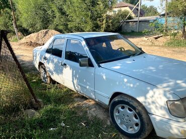 спринтер макси 2 9 грузовой: Mercedes-Benz W124: 1990 г., 3 л, Механика, Дизель, Бус