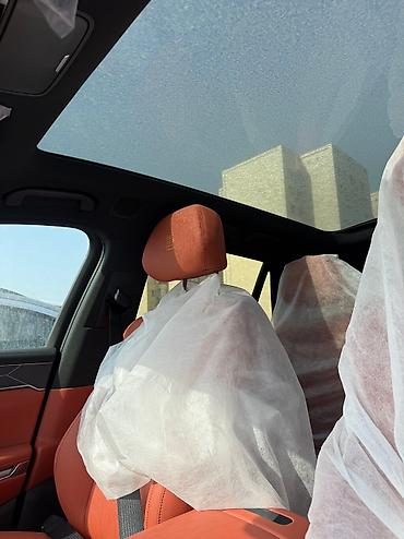 BYD: BYD : 2025 г., Электромобиль, Внедорожник — 10