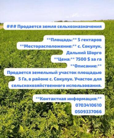 земля для посева: Айыл чарба үчүн