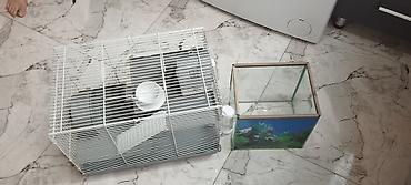 kompresor akvarium: Hamster üçün tam dəst qəfəs - Uç mərtəbəli metal barmaqlıqlı qəfəs — 5