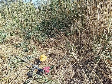 уборка травы на участке: Косим травы сорняк камышей живой изгороди стришка газон ЧОП чабабыз — 1
