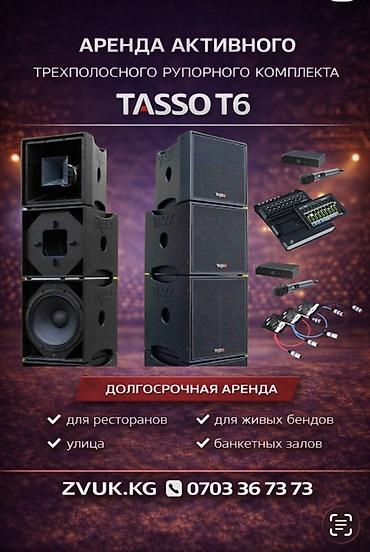 microlab 5 1: Аренда или Продажа активного трехполосного рупорного комплекта TASSO — 1