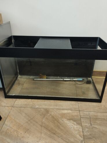 аквариум с рыбами: Продаю аквариум ширина 40 длина 90 высота 50 см