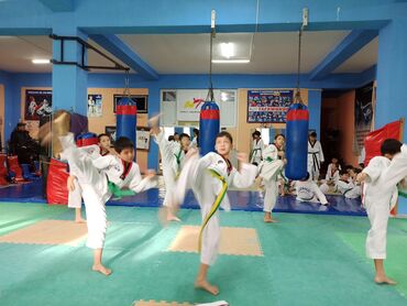 Красота, здоровье: Курсы | — 6