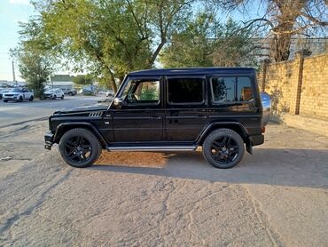 американская короткошёрстная кошка купить: Внедорожник Mercedes-Benz G 500 в модификации BRABUS, представленный в