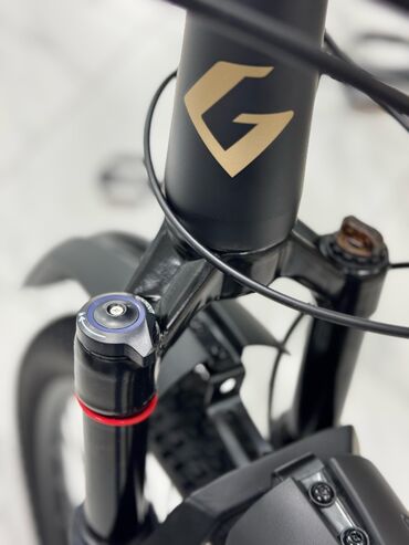 Городские велосипеды: Городской велосипед, Рама L (172 - 185 см), Новый — 4