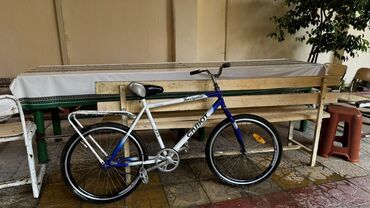 Şəhər velosipedi 24"