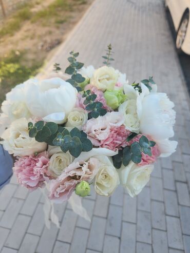 заказать свадебные платья оптом: Свадебный аксессуар, Новый