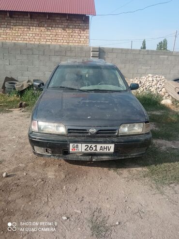 шевроле спарк 2017 цена: Nissan Primastar: 1992 г., 2 л, Механика, Дизель, Хэтчбэк