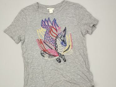 t shirty blaze: T-shirt, H&M, S, stan - Dobry