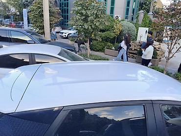 BYD: BYD Dolphin: 2022 г., Робот, Электромобиль, Хэтчбэк — 10