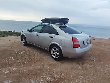 катушка 1 8: Nissan Primera: 2002 г., 1.8 л, Механика, Газ, Седан — 3