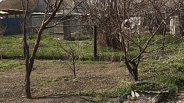 Продажа коттеджей и домов: Срочно продаю Дом, участок 7 сот. Сквозной участок, выход на две — 6