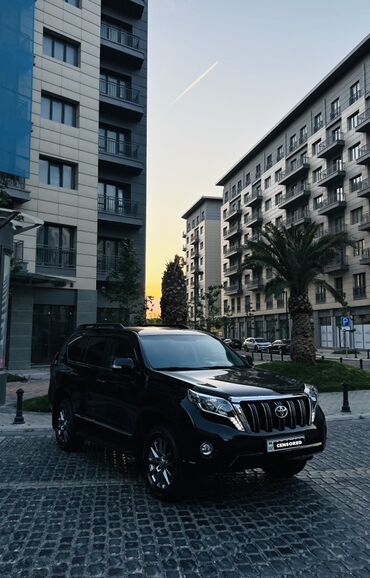 Nəqliyyat vasitəsinin icarəsi: Kia — 65