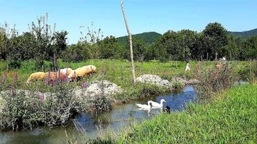 Bağ evlərinin satışı: Qəbələ, 170 kv. m, 6 otaqlı, Qaz, İşıq, Su — 1