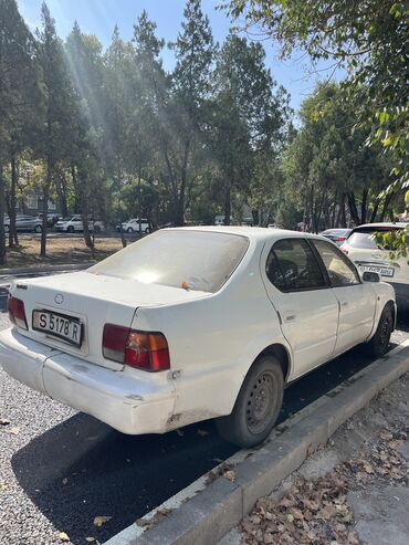 таета камри грация: Toyota Camry: 1995 г., 2 л, Бензин