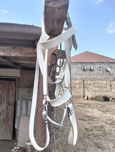 dele heyvan: Ağ rəngli at yəhəri üçün cilov və ağızlıq dəsti. - Material: möhkəm — 1