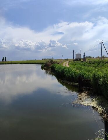 Продажа участков: 600 соток, Для бизнеса, Красная книга — 7