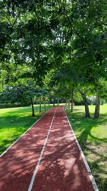 Другие строительные материалы: Покрытие для беговых и прогулочных дорожек (резиновая бесшовная — 2