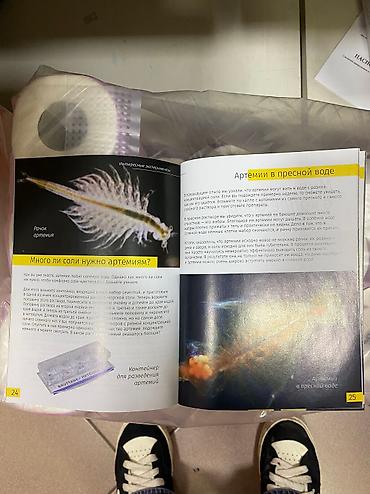 Репетиторы школьной программы: Микроскопы от 8000 тыс сомов at lalafo.kg — 4 Репетиторы школьной программы: Микроскопы от 8000 тыс сомов — 4