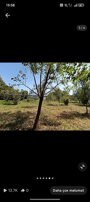 qobu kendi: 13 sot, Tikinti, Barter mümkündür, Kupça (Çıxarış) — 1