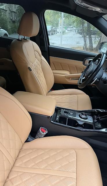 шторки для авто: Kia Sorento: 2020 г., 1.6 л, Автомат, Кроссовер — 6