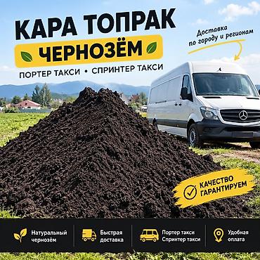 Портер