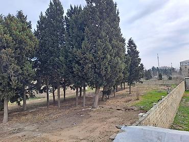 Torpaq sahələrinin satışı: 25 sot, Kupça (Çıxarış) — 26