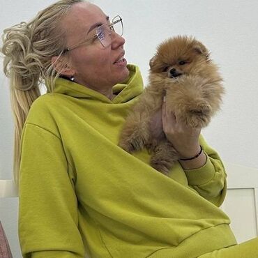 Psi: Odgaivacnica ekskluzivnih pomeranaca i pudli registrovana u FCI savezu — 1