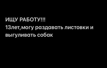 Другие специальности: Ищу работу мне 13лет могу раздавать листовки и выгуливать собак.Тел