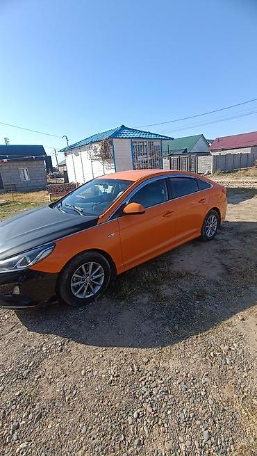 sonata uf: Hyundai Sonata: 2019 г., 2 л, Автомат, Газ, Седан — 1