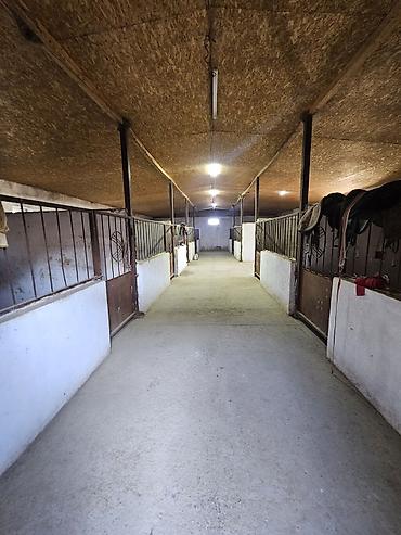 Продажа коттеджей и домов: Продается современный кошар с домом в селе Чокморов 💸=480.000$+торг — 2