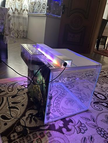 su suzən daslar: Dördbucaq akvarium, Boş, 80 l, Ödənişli çatdırılma — 4