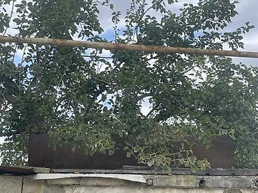 baki tekstil fabriki elaqe: Bak, Metal, 1500 l l, Yeni, Ünvandan götürmə — 2