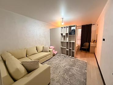 kant flat: 1 комната, 46 м², Кара-Жыгач ж/м Элитка, 6 этаж, Евроремонт — 4