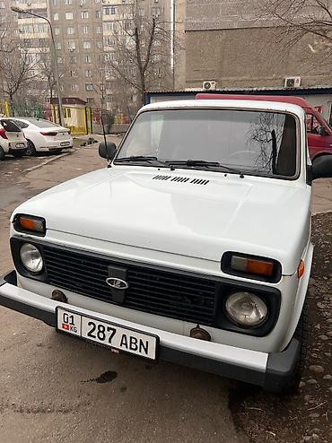 ВАЗ (ЛАДА): ВАЗ (ЛАДА) 4x4 Нива: 2009 г., 1.7 л, Механика, Бензин, Внедорожник — 9