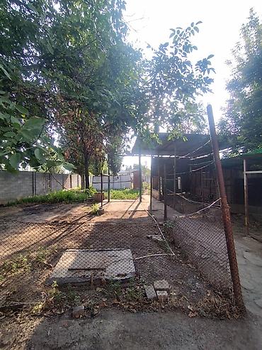 Продажа коттеджей и домов: Продается дом в селе Дмитриевка 5 комнат + времянка дом расположен де — 9