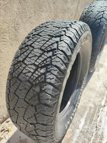 грузовой сопог: Шины Kapsen Practicalmax A/T - Тип: вседорожные (All Terrain) -