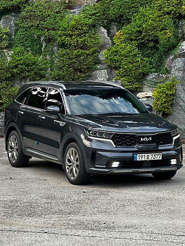 киа молдинк: Kia Sorento: 2023 г., 2.2 л, Автомат, Дизель, Кроссовер — 6