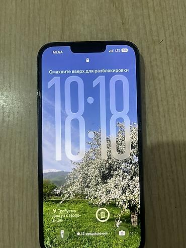 mac mini 4: IPhone Pro в графитовом цвете. Смартфон с плоскими гранями, фирменным — 2