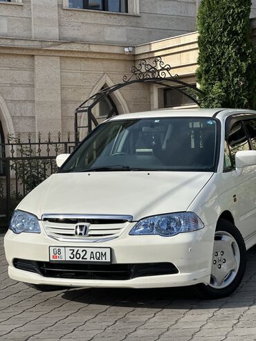 odyssey absolute: Honda Odyssey: 2003 г., 2.3 л, Автомат, Газ, Вэн/Минивэн