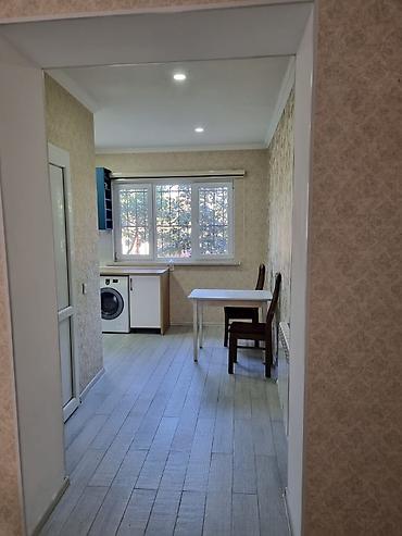 bine evləri: Ev bir yataq otağı, bir zal studio mətbəxdən ibarətdi. Hər bir — 6