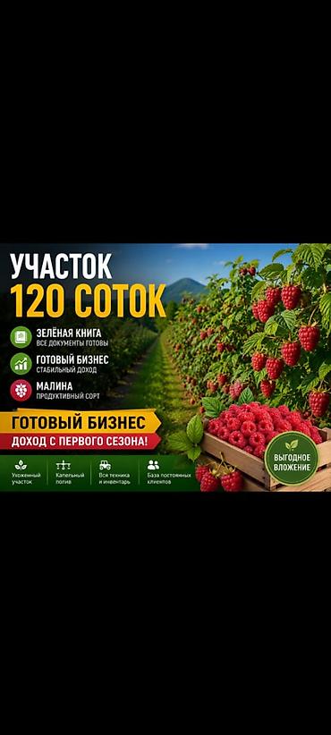 56: 120 соток, Для сельского хозяйства, Договор купли-продажи — 1