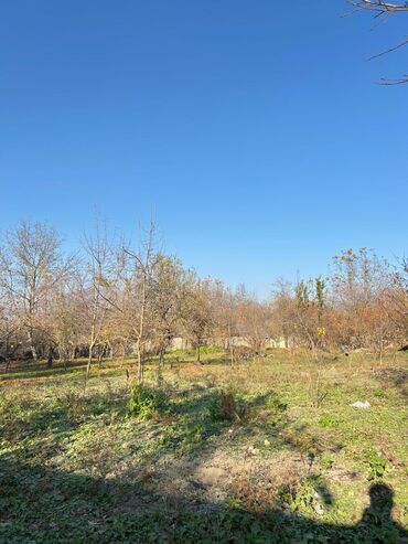 Torpaq sahələrinin satışı: 17 sot, Tikinti, Mülkiyyətçi, Kupça (Çıxarış) — 10