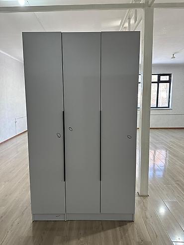 Шифоньеры, шкафы для одежды: Шифоньер, шкаф для одежды, Прямой, ЛДСП — 8