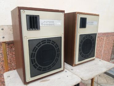 Dinamiklər və kolonkalar: Radiotehnika Kolonka, Növ - Akustik