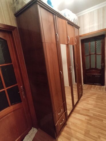 prixoja mebeli: İşlənmiş, 2 qapılı Düz dolab, Dəhliz dolabı