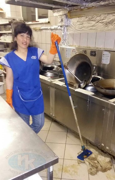 Посудомойщица тула