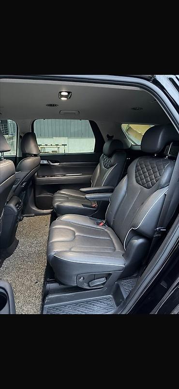 range over: Hyundai Palisade: 2020 г., 2.2 л, Автомат, Дизель, Кроссовер — 10